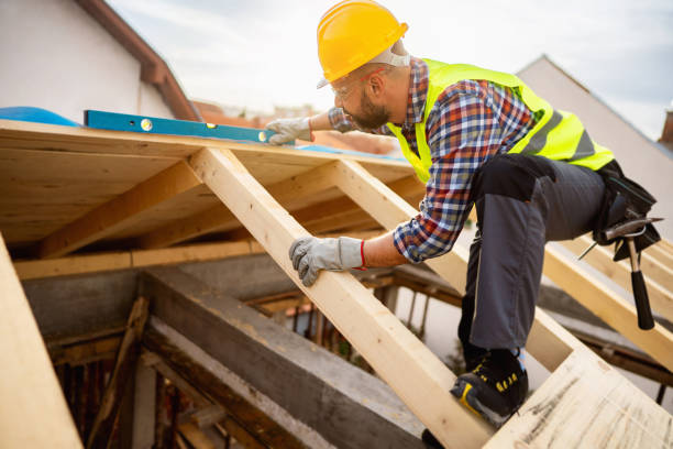 Best Roof Gutter Cleaning  in High Springs, FL