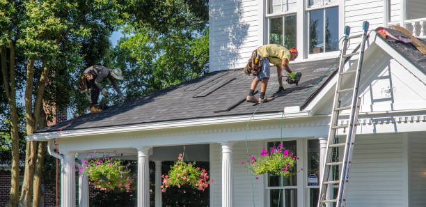 Best Roof Gutter Cleaning  in High Springs, FL